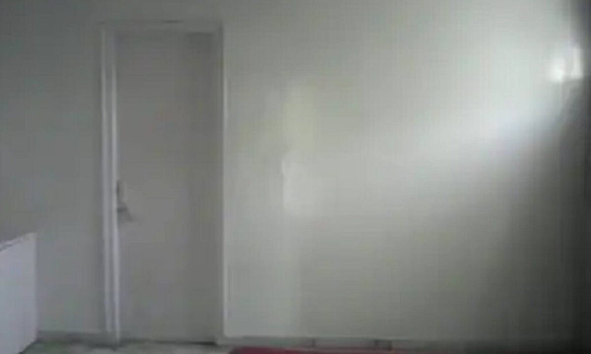 Sainik Farm House | 1bedroomapartment-in-south-delhi