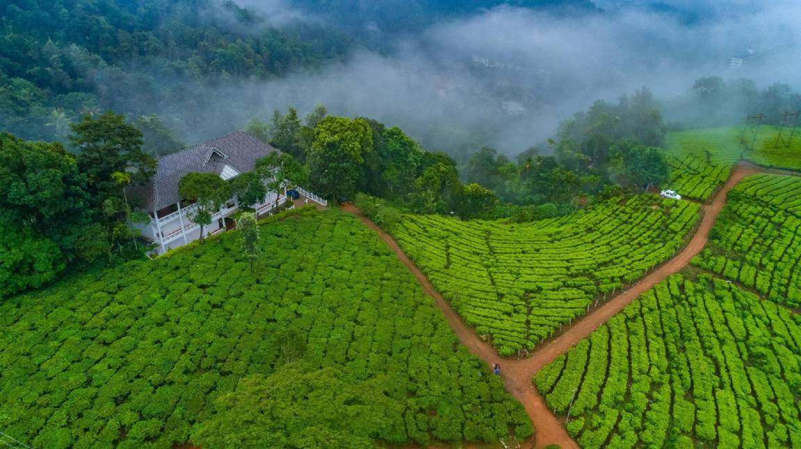 Chithirapuram Resort | 42 m² Resort ∙ 3 guests
