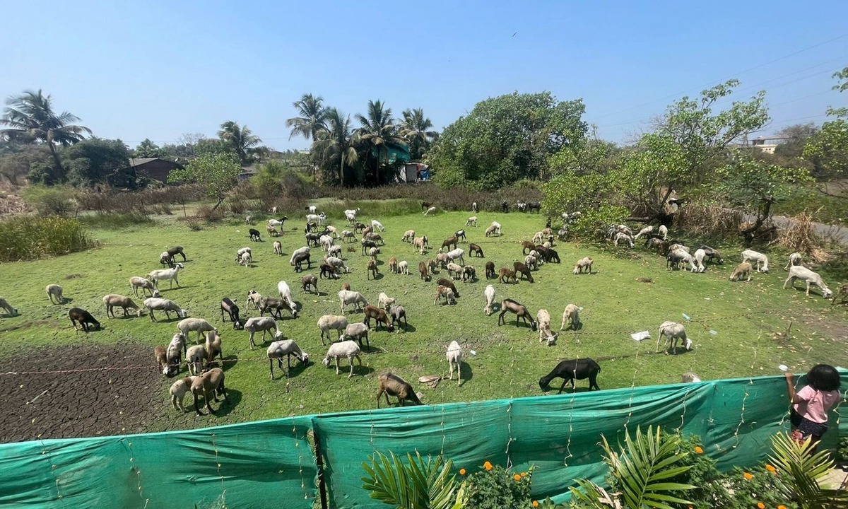 Pen House | A private 3 BH luxurious villa near famous Nagaon beach