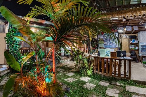 El Nido Cabin | ALFA Garden Lodge