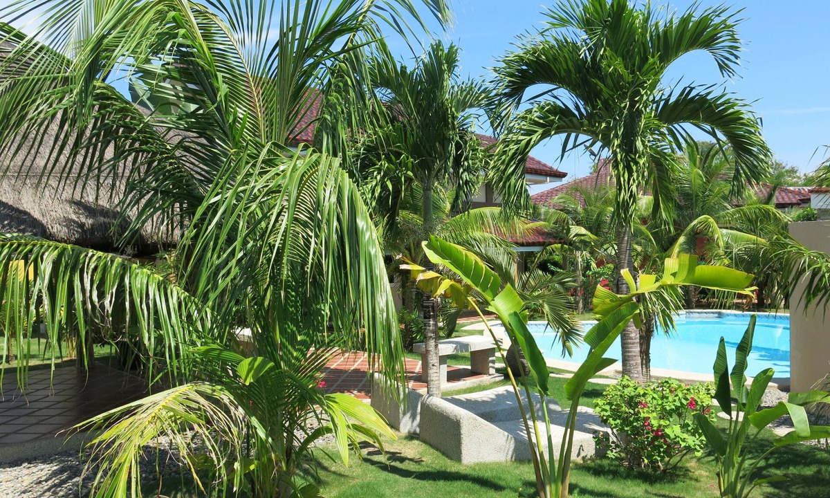 Danao Hotel | Alona's Coral Garden Resort