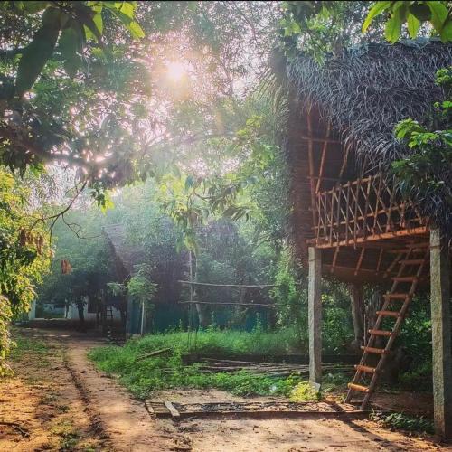 Bommayapalayam Hostel | Art Forest
