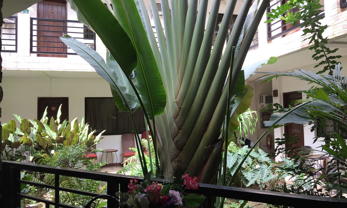 Coron Town Proper Bed & Breakfast | Balaibinda Lodge