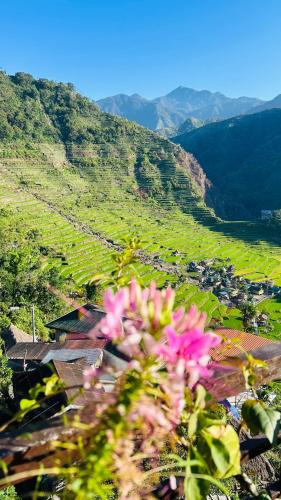 Batad House | Batad Pension and Restaurant Native House