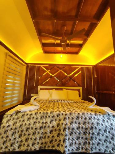 Alappuzha Boat Rental | Bed O Inn