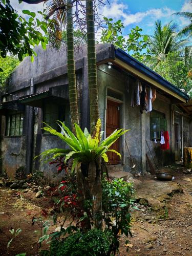 Bacacay House | Belmoro Transient House