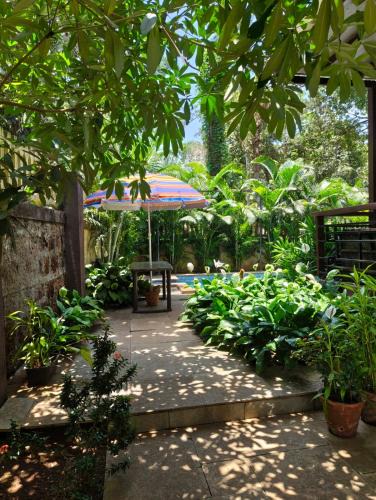 Pilerne Villa | Casa Nona-Luxurious 3BHK Pvt Pool Villa North Goa