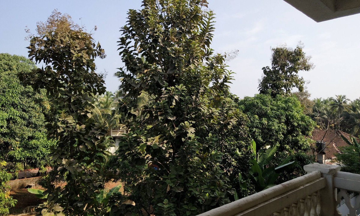 Vanelim Apartment | Classic 1-Bedroom Apartment at Colva, Goa