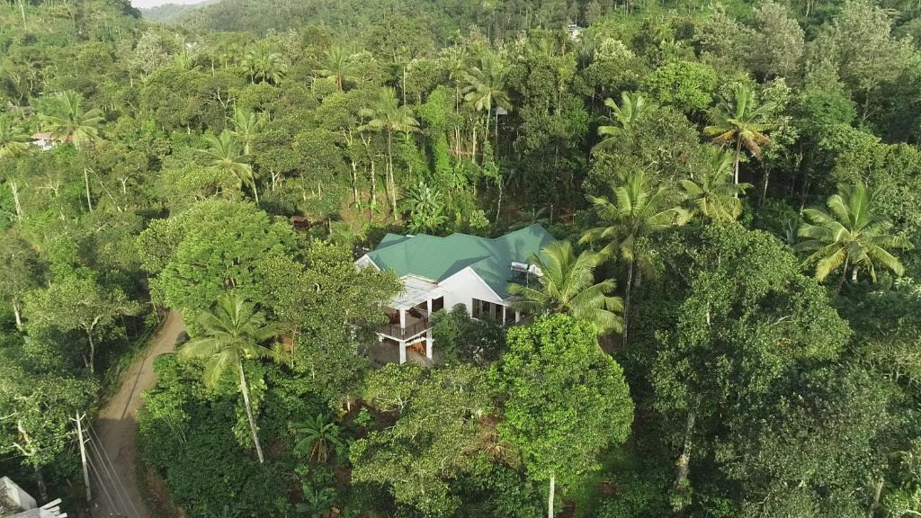 Pirmed House | Coffee and Pepper Plantation Homestay