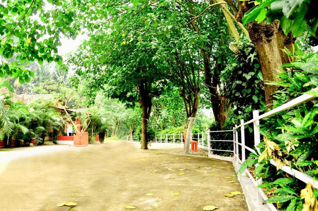 Mahadevpet Hotel | COORG HOTEL AND COTTAGE