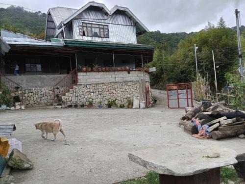 Bontoc Bed & Breakfast | Døng-elays Homestay