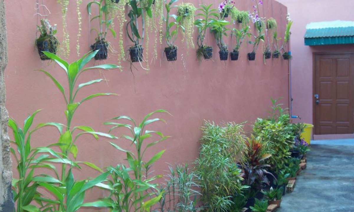 Old Phuket Town House | D's Corner & Guesthouse