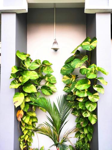 Thiruvananthapuram Apartment | Downtown Manor-Panavila