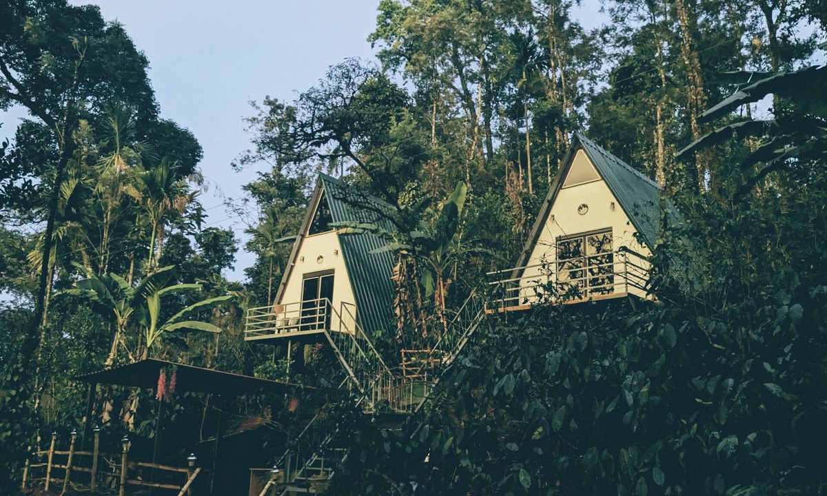 Madikeri House | Experience Serenity at Coorgology estate stay in Lush Coffee Plantations