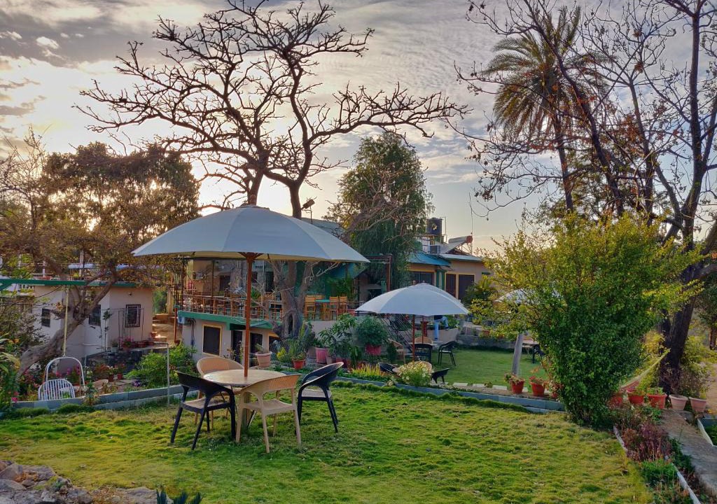 Mount Abu Cabin | Forest Eco Lodge