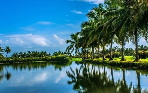 Alappuzha House | Golden Beach Home Stay