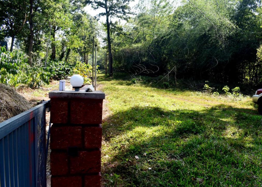 Sulthan Bathery Hotel | Green Heaven Kuruva Wayanad
