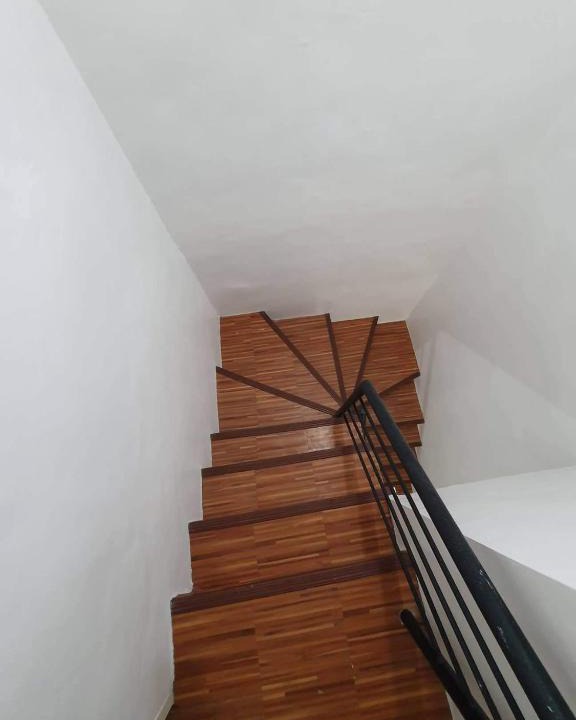 Pavia House | Green Olive