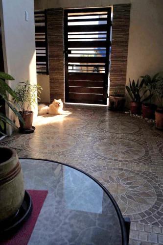 Lipa Apartment | Habambahay - your forever home away- nestled in the heart of Lipa