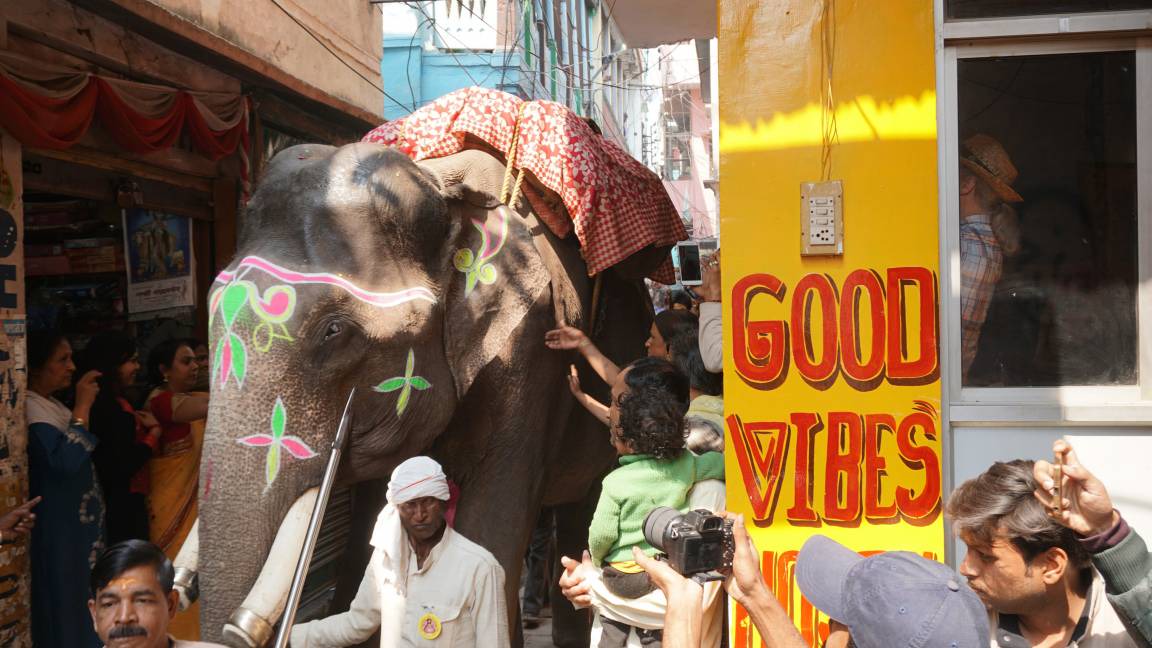 Varanasi Hostel | Hostel ∙ 8 guests