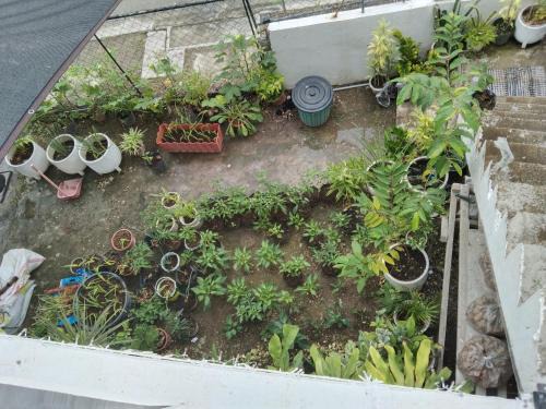 Compostela House | how to remove this post