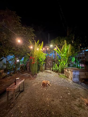Catangnan Apartment | Jaydy hostel