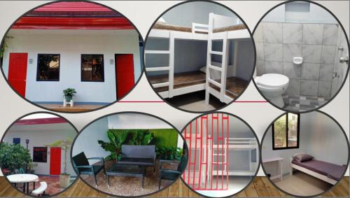 Molave Hostel | JJP Dormitel