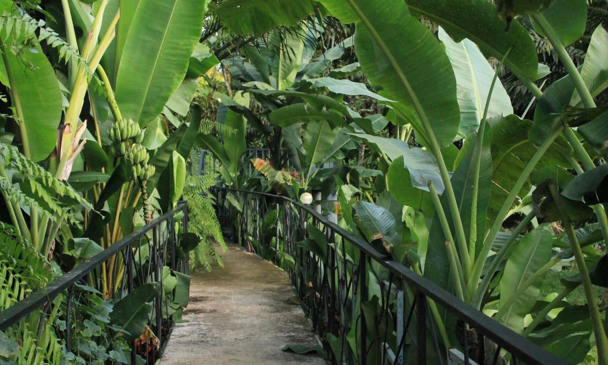 Khlong Sok Hotel | Khaosok River Camp