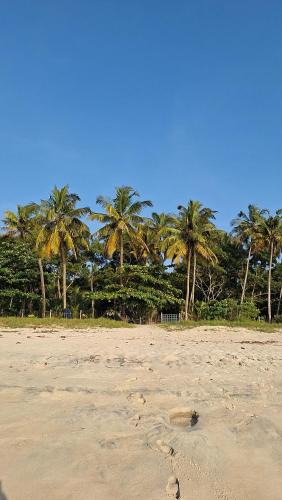 Alappuzha House | Marari Beach Bamboo Rooms AcroYogaThai