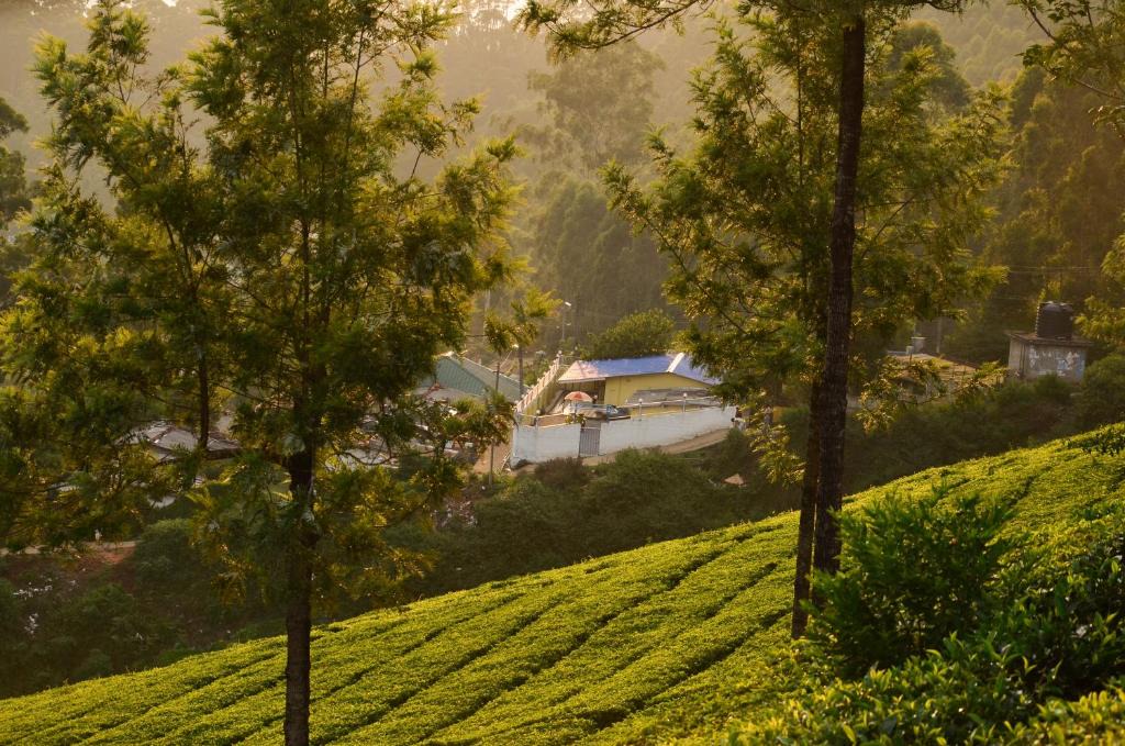 Devikolam House | Munnar valley view