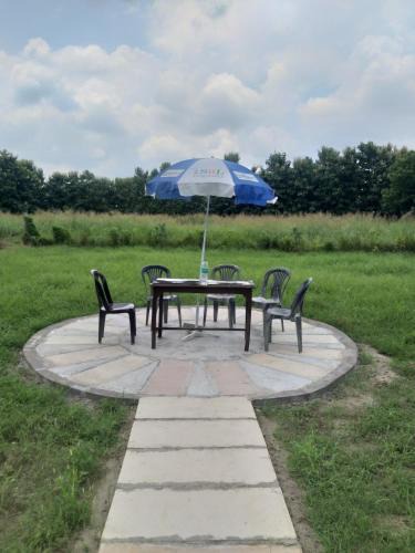 Sarnath Apartment | Nature Homestay