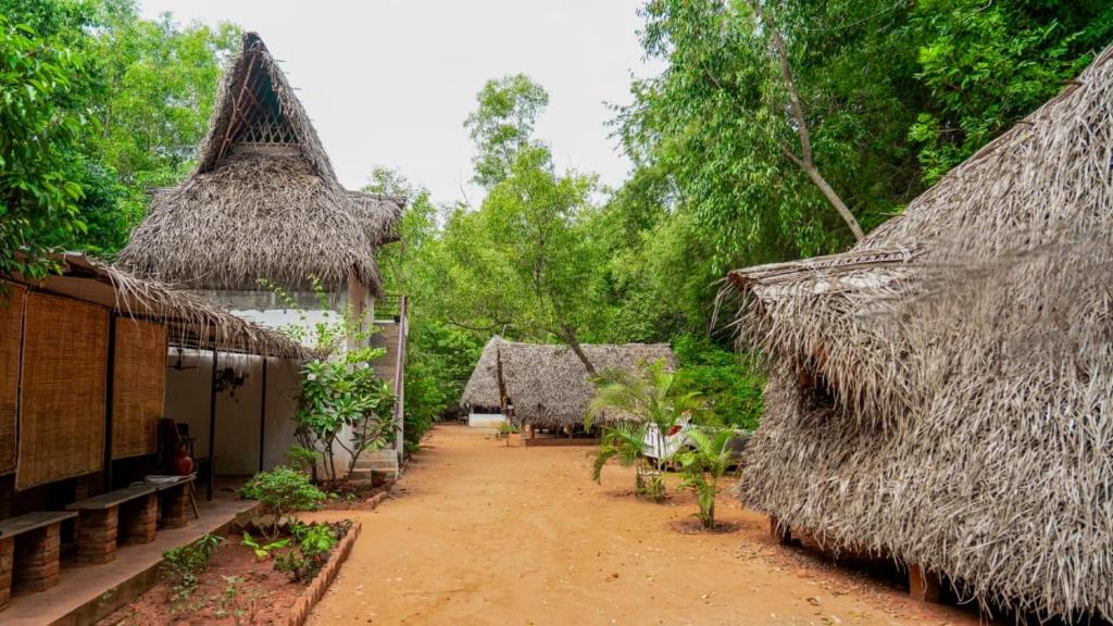 Bommayapalayam House | Nebula Nest Cafe & Hostel