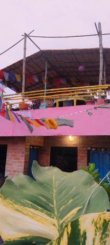 Alappuzha House | Peace and love backpackers beach stay