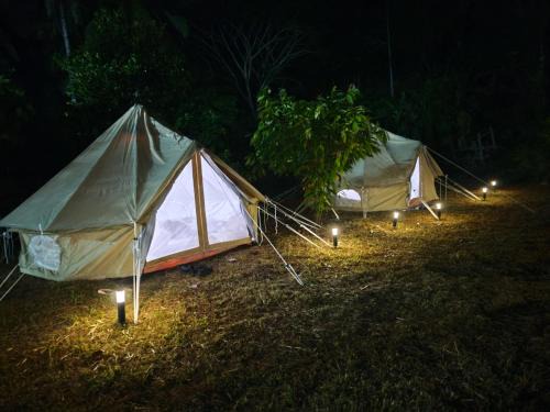 Phrae Other | Pick-A-Brew Camp