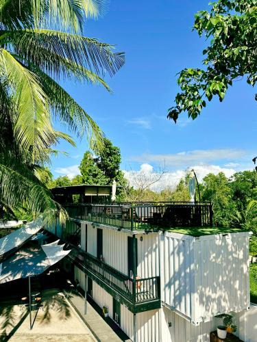 Basdiot Hostel | Pig Dive Hostel Moalboal