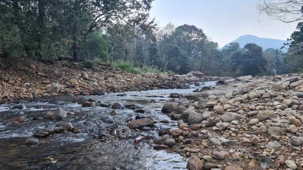 Ponmundi House | PONMUDI DALE. HOMESTAY