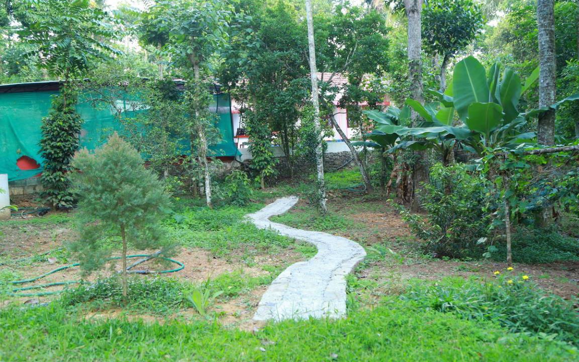 Pirmed Resort | Private room ∙ 2 guests