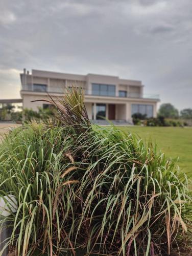 Chevella Villa | Riniya