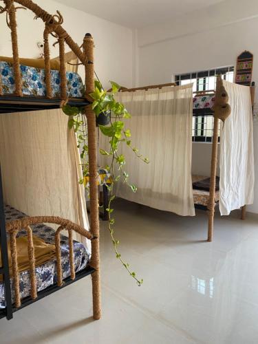 Arambol Hostel | Shiva Retreats Stay with Yoga Retreats & all Foods Included at Arambol Goa