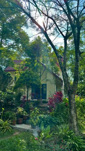 Kuttikkanam Apartment | Silver oaks plantation cottage