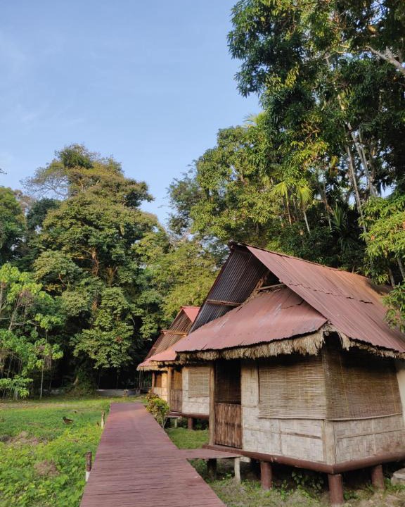 Havelock Island Cabin | The Forest Elephant - Formerly known as the Flying Elephant