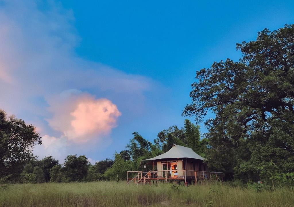Bandhogarh Hotel | The Untamed Bandhavgarh by TUTC