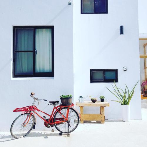 Tongluo House | Tree House Café & Homestay