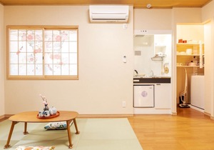 Access Birds Longterm discount available 5/Katsushika-ku Tokyo