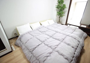 Apartment in Osaka MN-203