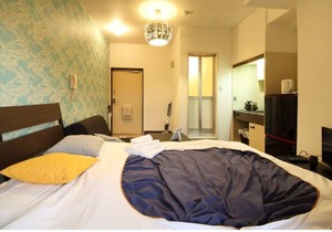 EX Shirokitakōen Apartment 408