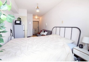 EX Shirokitakōen Apartment 803