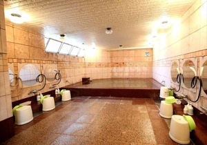 Hotel Sun Plaza Sakai / Vacation STAY 80522