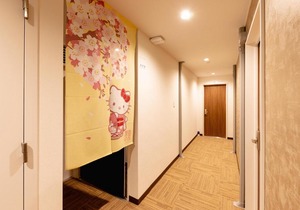 NIKKO INN MINAMISENBA 501