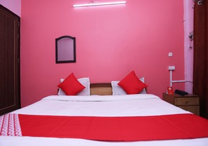OYO 19192 Hotel New Metro